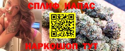 дживик Балахна