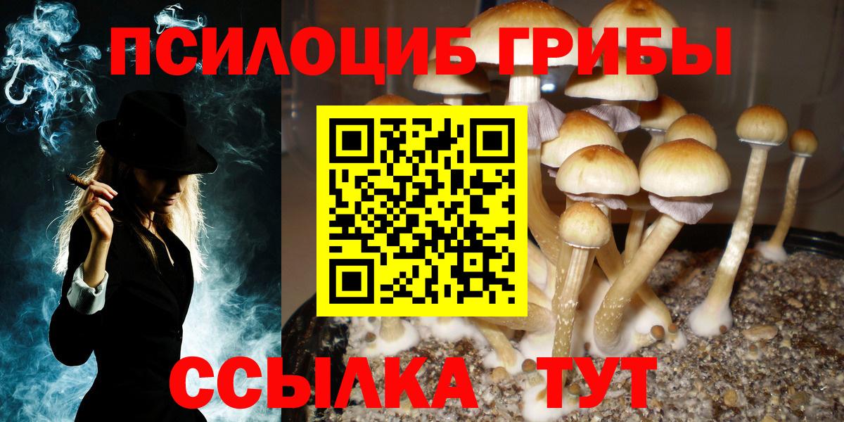 Долгопрудный  Галлюциногенные грибы мухоморы  Вход с VPN 